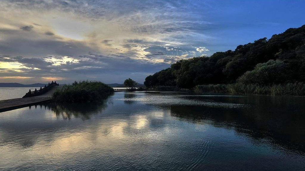 别人对你的态度，都是你允许的